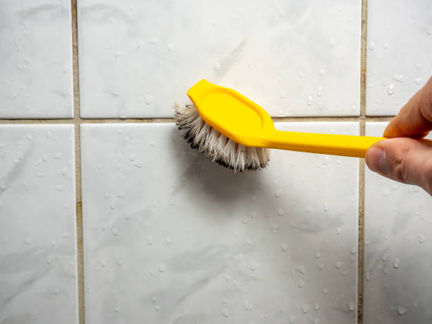 Best Home Mold Removal  in Rice Lake, MN