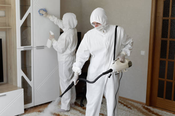 Mold Removal and Inspection in Rice Lake, MN