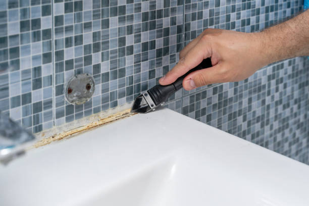 Best Mold Cleaning Services  in Rice Lake, MN